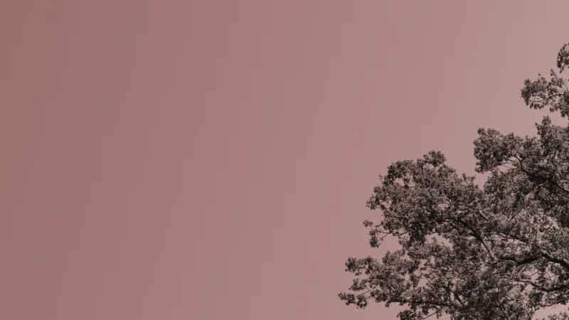 Learn about investing